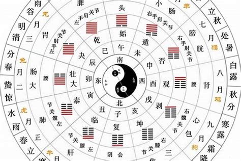 地支阴阳|十天干十二地支对应五行 十天干十二地支五行阴阳属性